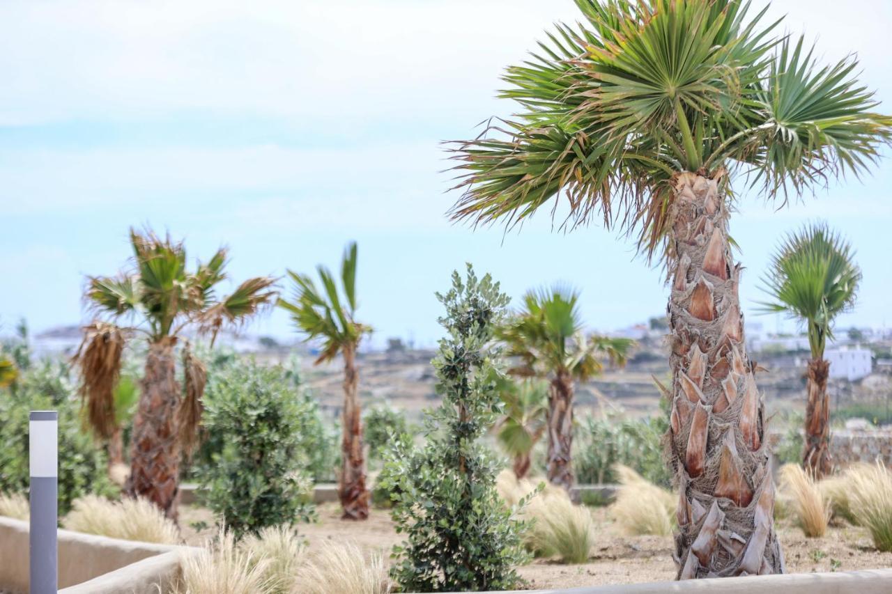 The George Villas With Private Pool, Close To Mykonos Town - Chora المظهر الخارجي الصورة
